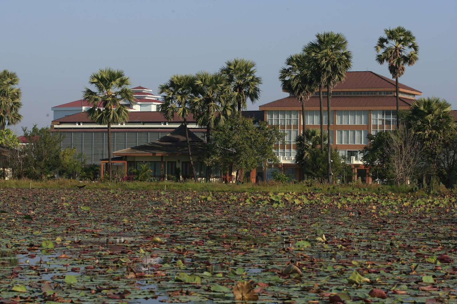 Hotel buildings and palm trees beside a wide lotus pond